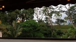 Brookvale Park (Enbloc) (D21), Condominium #63707602